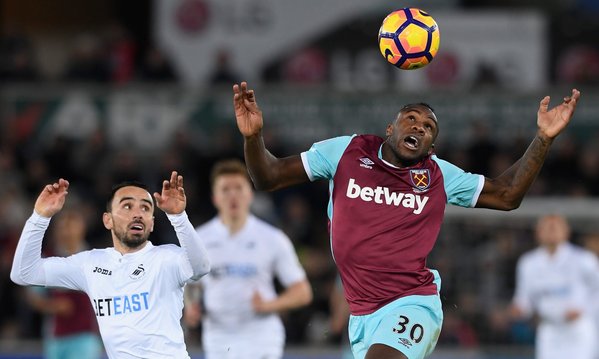 将有机会在 将有机会在