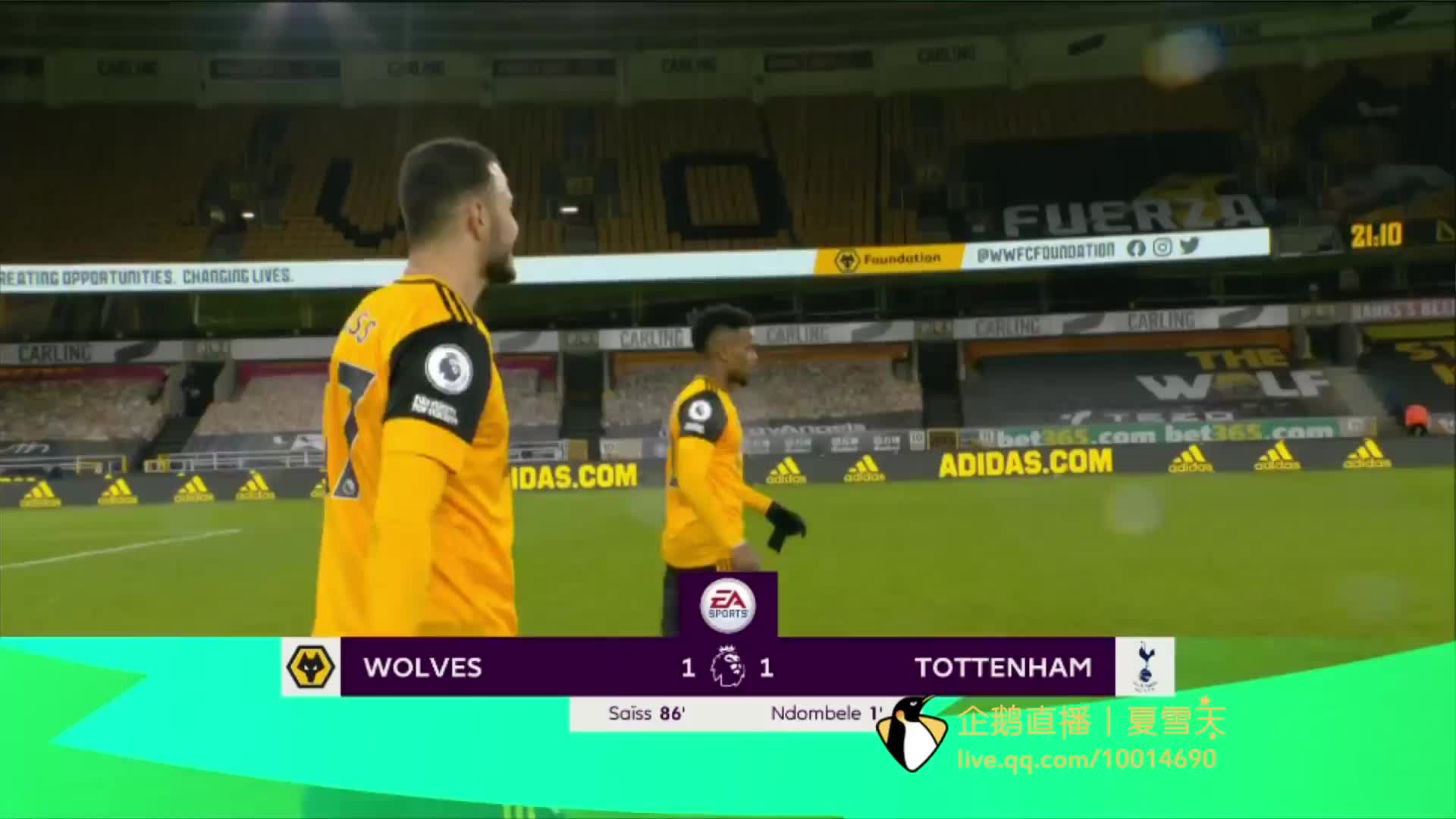 不仅为荷兰 不仅为荷兰